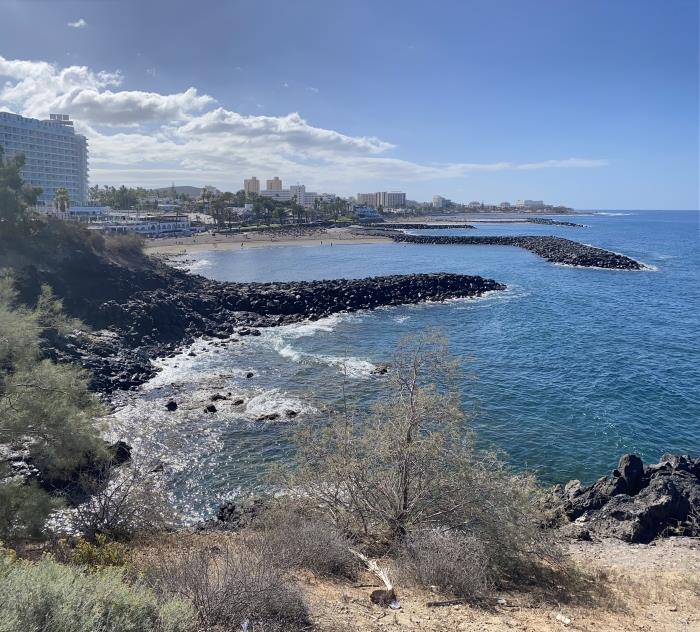 Surfing in Tenerife: A Paradise for Wave Lovers